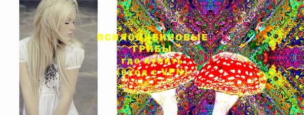 мет Белокуриха