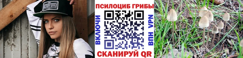 MEGA маркетплейс  Козловка  Псилоцибиновые грибы MAGIC MUSHROOMS  как найти закладки 